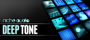 Niche deep tone 1000 x 512