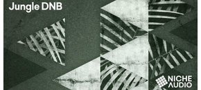 Niche samples sounds jungle dnb 1000 x 512 new pluginboutique